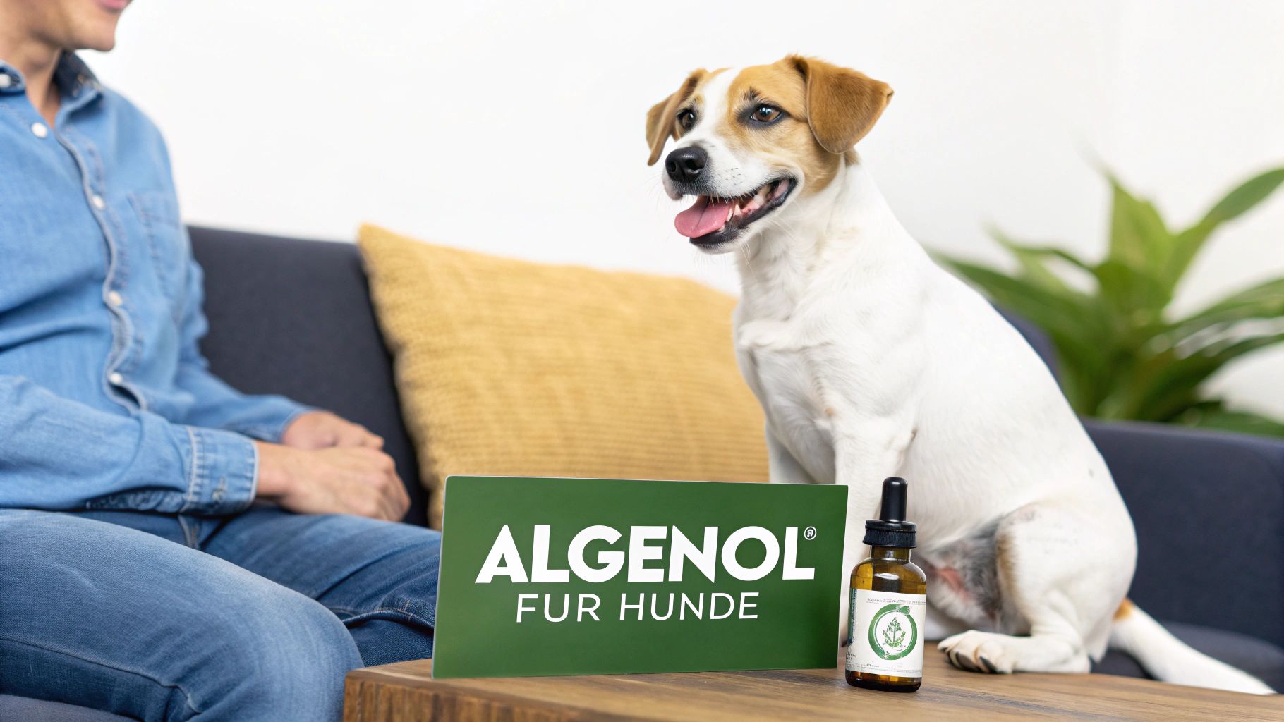 Ein glücklicher Hund sitzt neben einer Person auf dem Sofa, vor einem Algenöl-Produkt für Hunde.