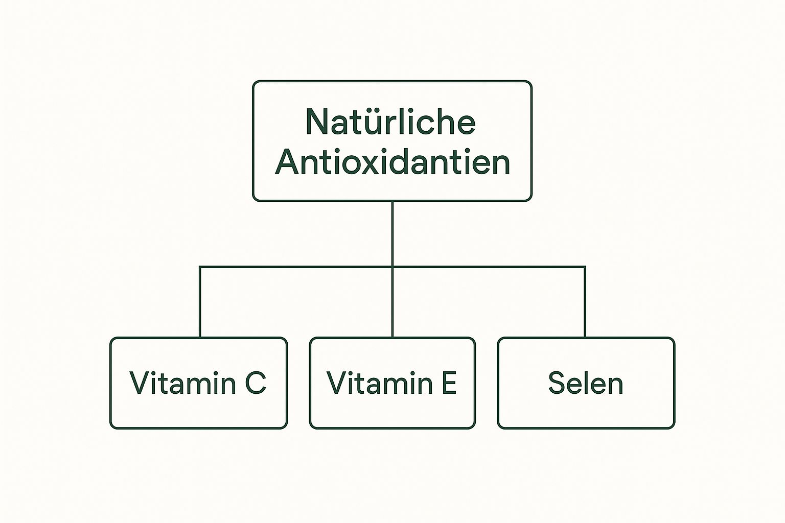 Infographic about antioxidantien für hunde