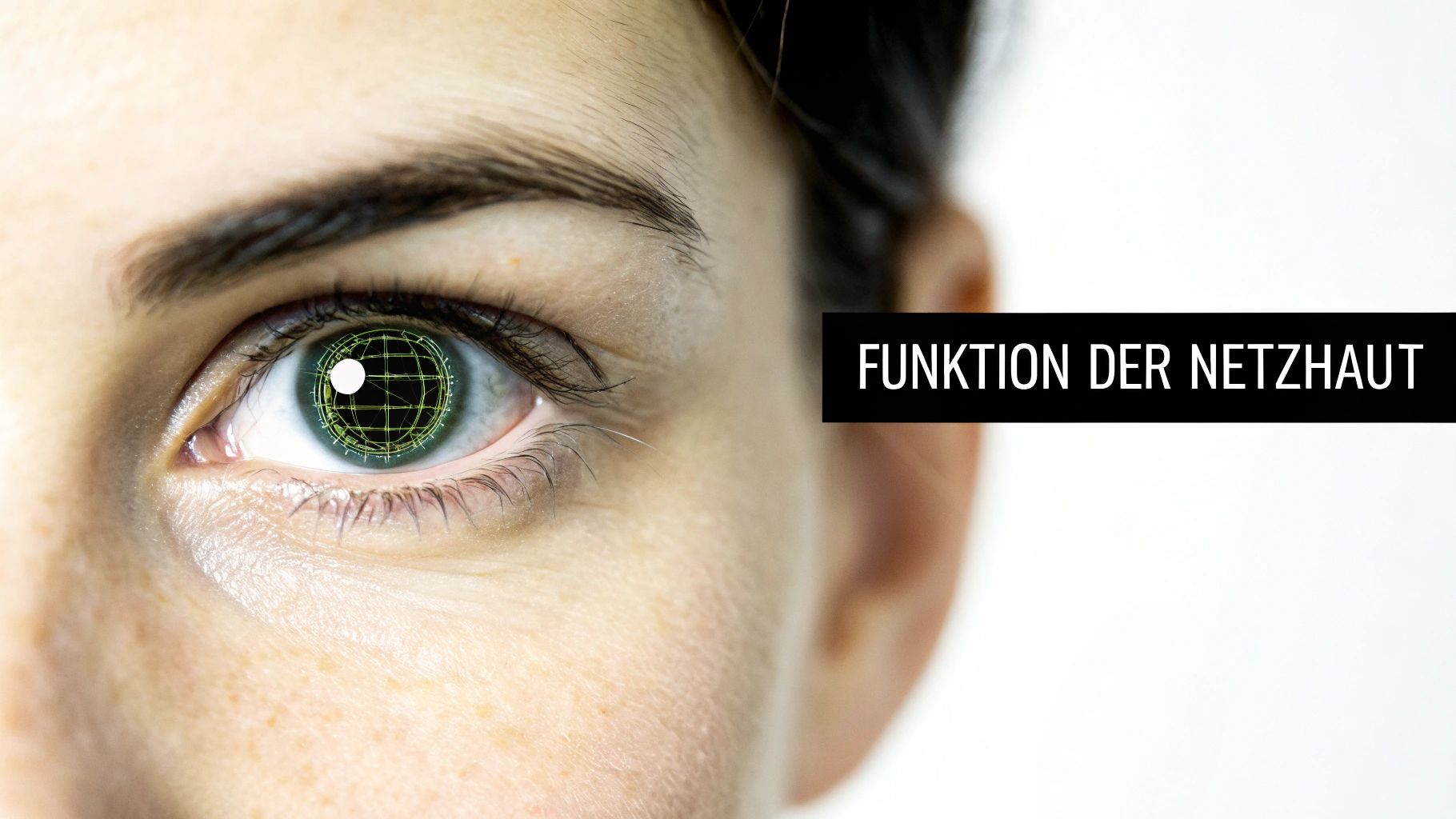 Nahaufnahme eines menschlichen Auges mit einem digitalen Gittermuster auf der Iris und dem Text 'Funktion der Netzhaut'.