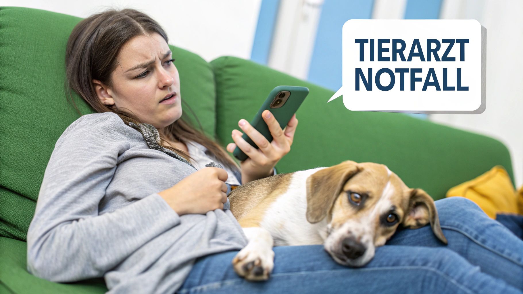 Ein Tierarzt untersucht einen Hund sorgfältig in einer Praxis.