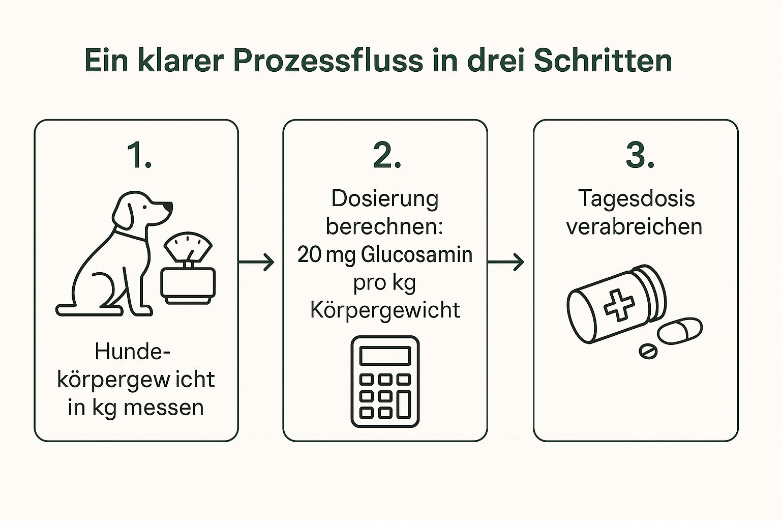 Infografik, die den Prozess zur Ermittlung der Glucosamin-Dosierung für einen Hund in drei Schritten zeigt: Gewicht messen, Dosis berechnen und verabreichen.