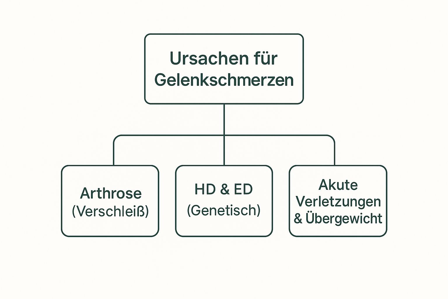 Infografik, die die Ursachen für Gelenkschmerzen beim Hund in Arthrose, genetische Faktoren und akute Verletzungen unterteilt