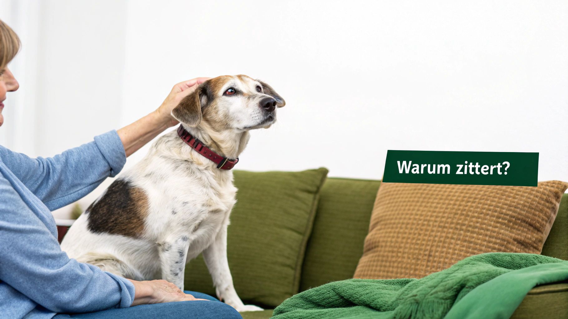 Ältere Frau streichelt ihren Hund auf einem Sofa. Ein Textbanner fragt: 'Warum zittert?'