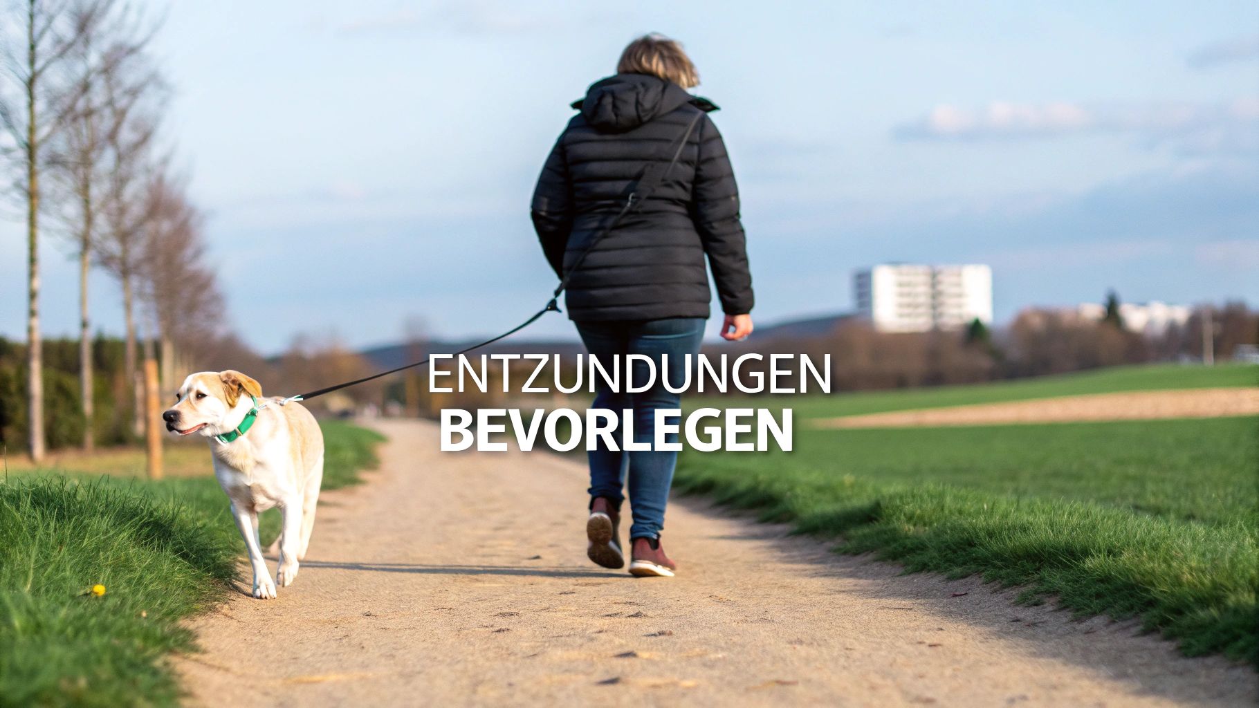 Eine Person führt ihren Hund an der Leine auf einem Feldweg. Grüne Felder und Bäume umgeben sie.
