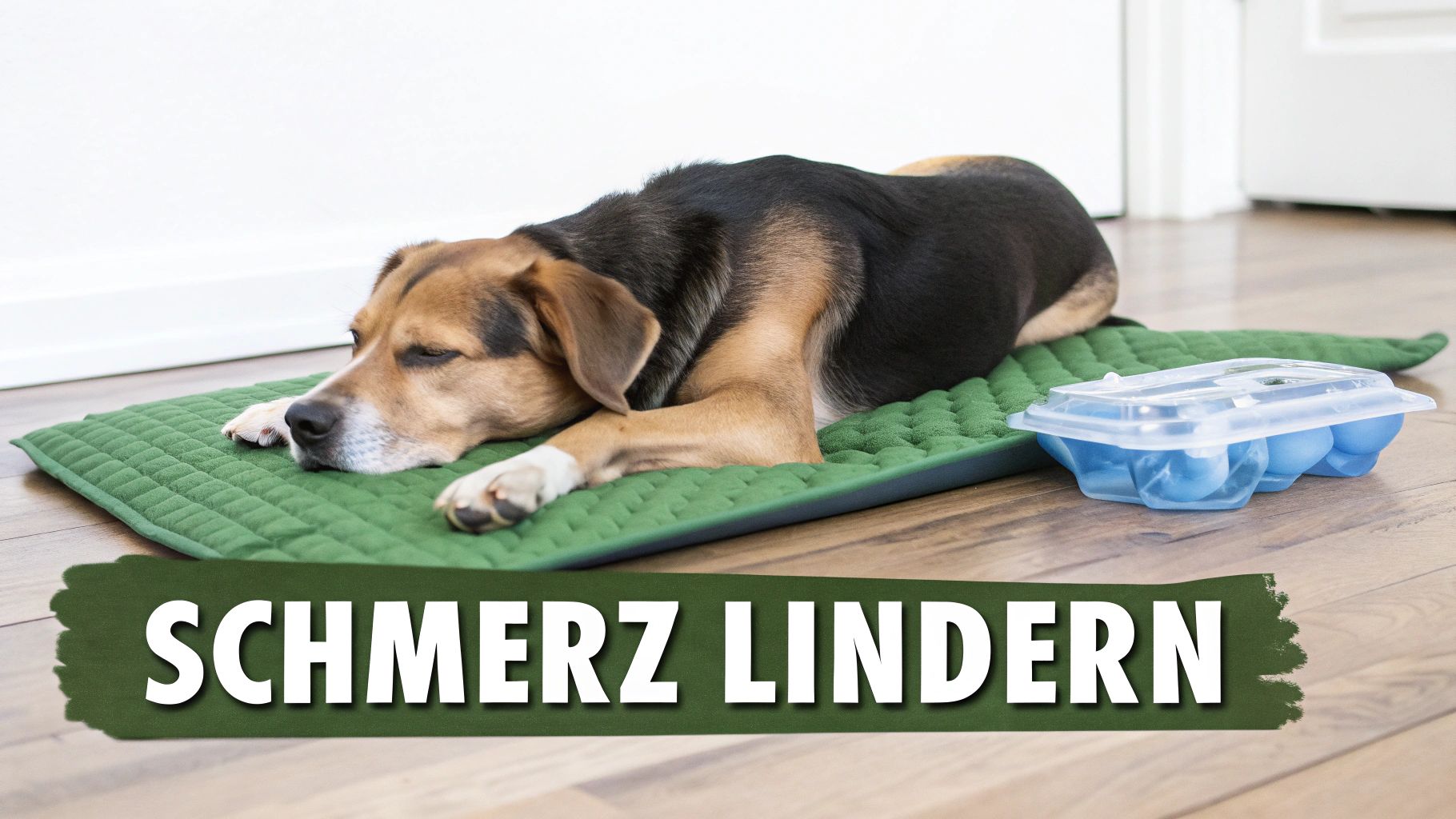 Medikamentöse Therapie (NSAIDs)