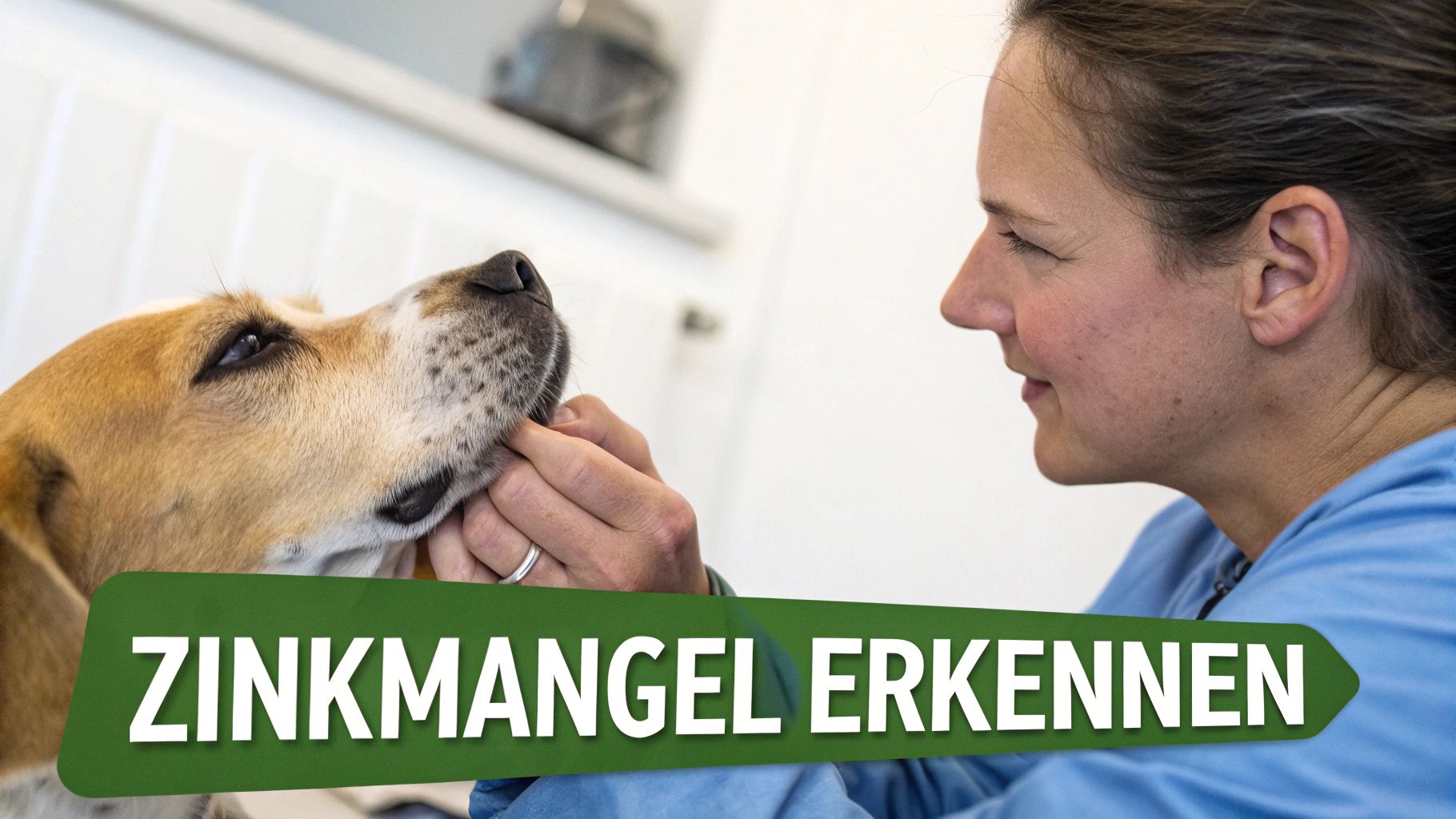 Ein Hund zeigt Anzeichen von Hautproblemen, wie trockene Haut und schuppiges Fell.