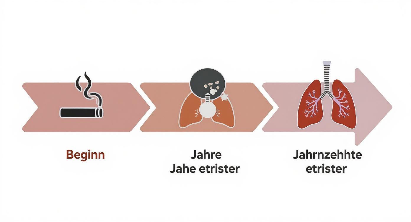 Infografik zeigt eine Zeitachse des Lungenschadens durch Rauchen, beginnend mit einer Zigarette, gefolgt von einem Husten-Icon nach Jahren und einer kranken Lunge nach Jahrzehnten.