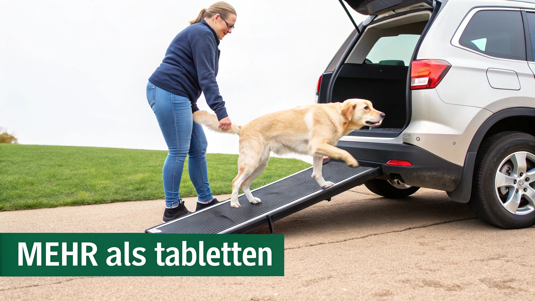Eine Frau hilft einem Labradorhund, über eine Rampe in den Kofferraum eines silbernen SUV zu steigen.