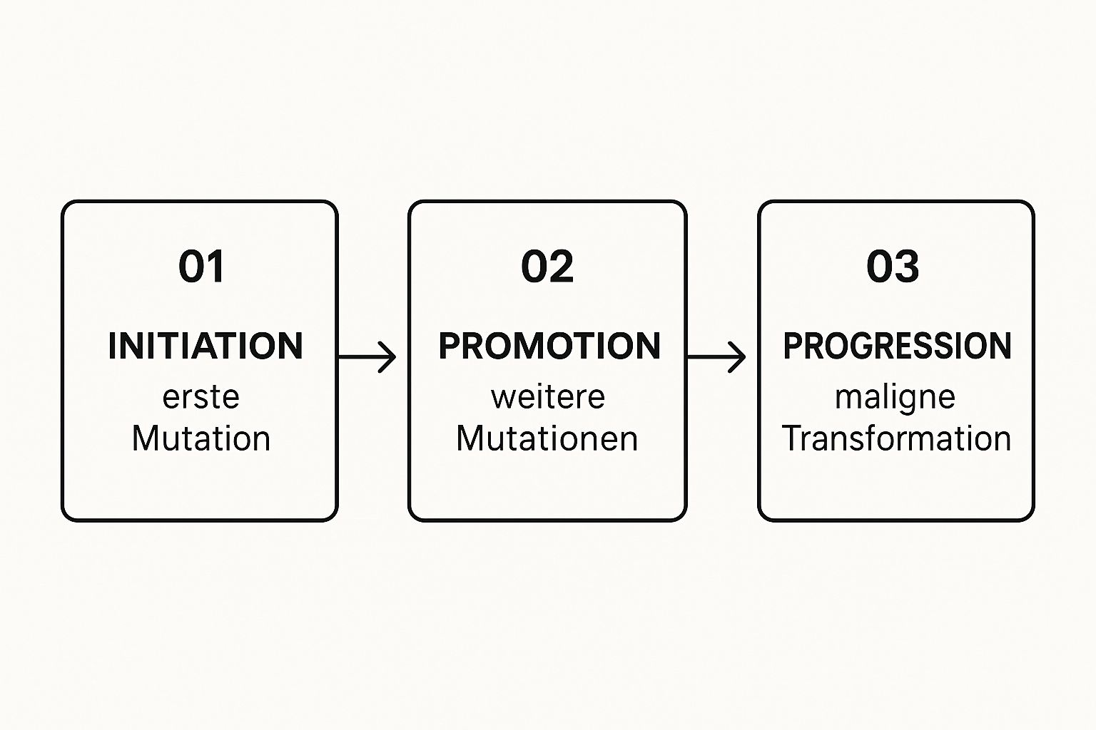 Infographic about wie entstehen tumore