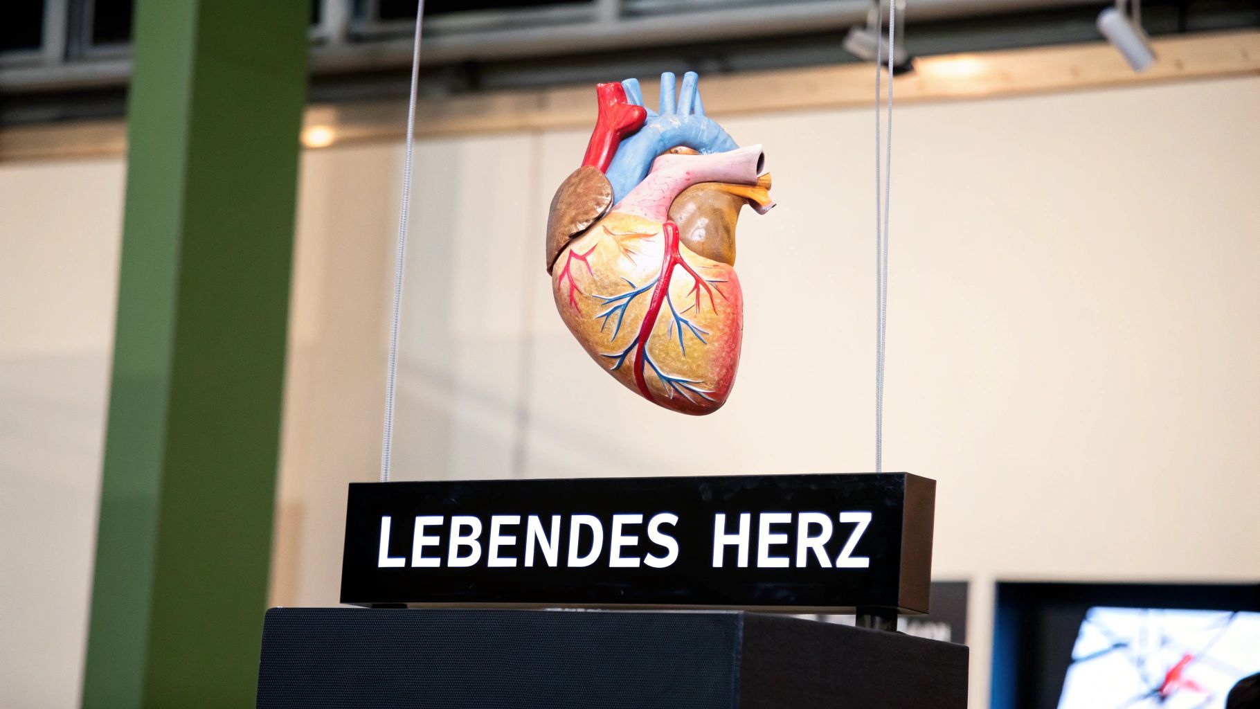 Herz (Heart)