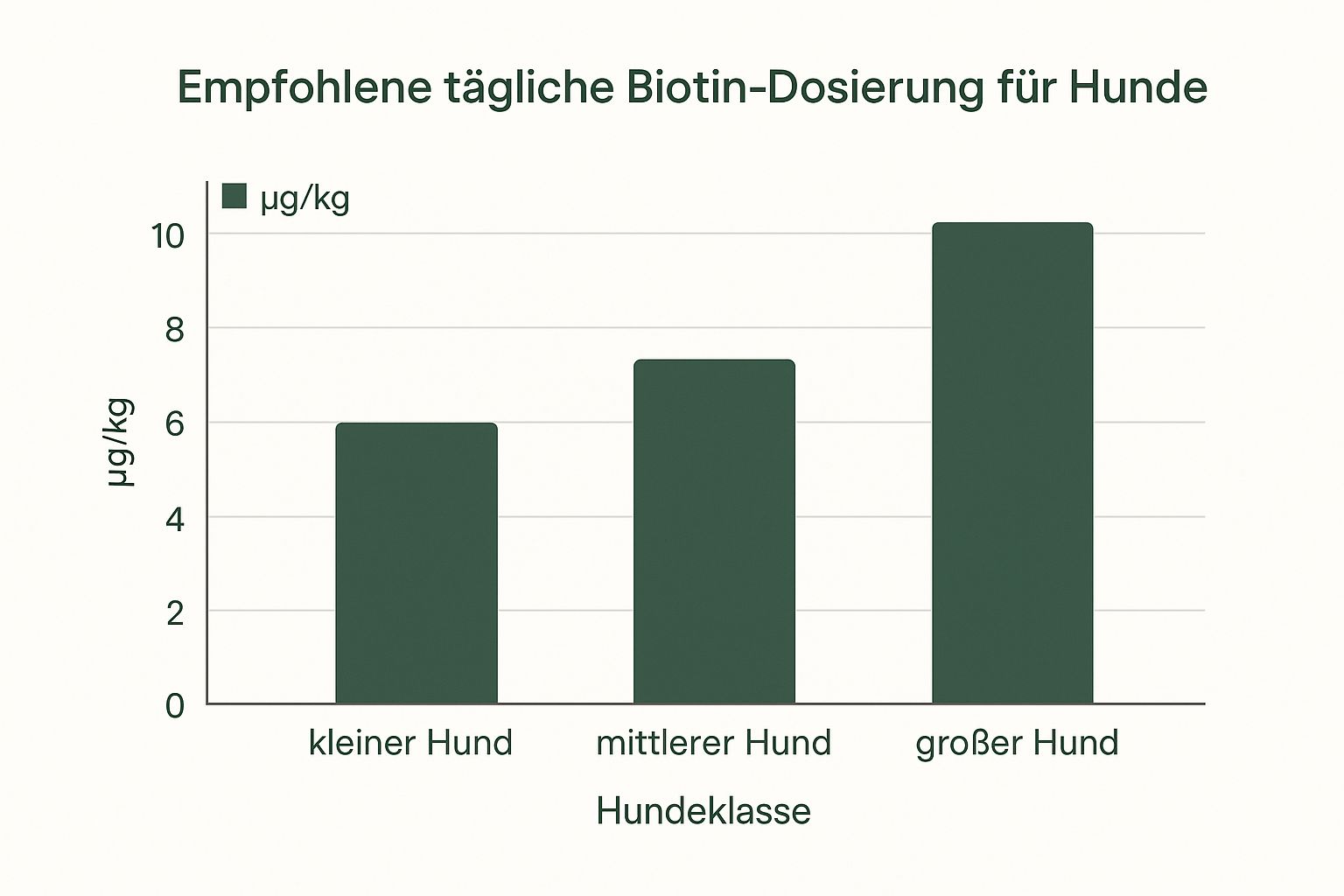 Infographic about biotin für hund