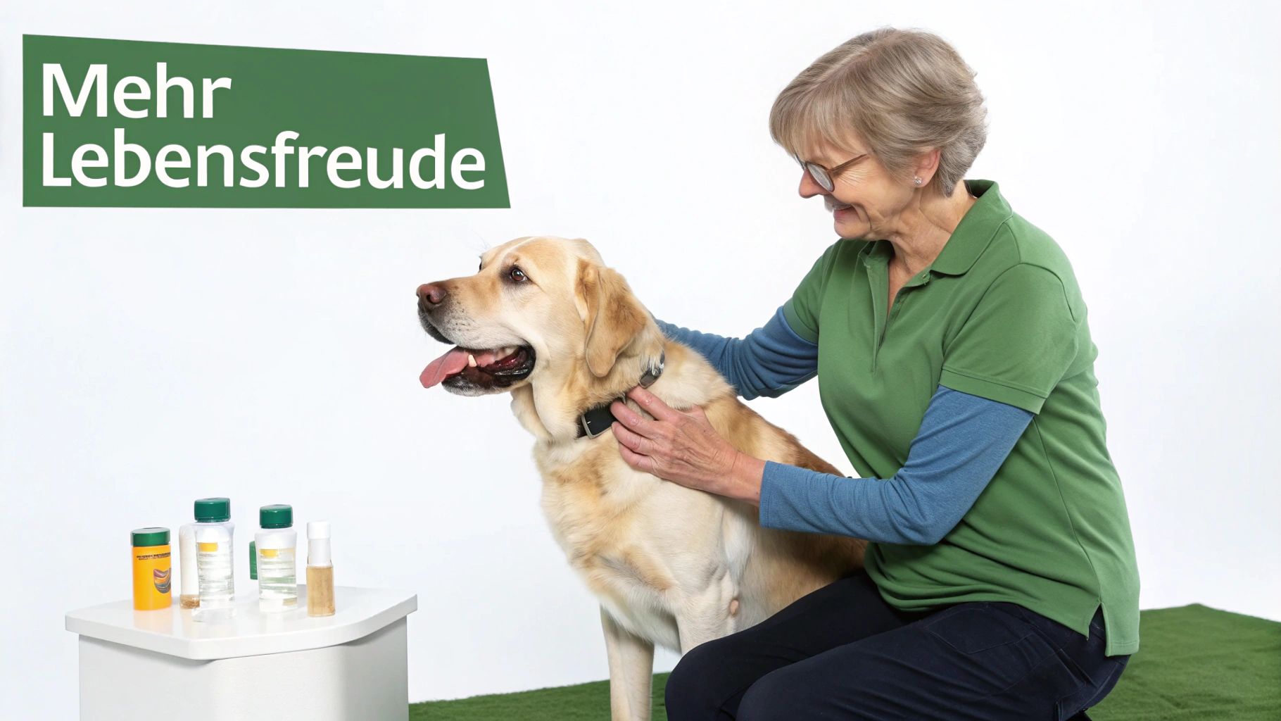 Ein glücklicher älterer Hund, der im Garten entspannt liegt.