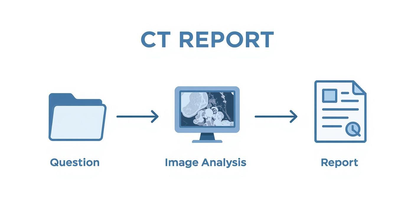 Infographic about ct abdomen befundung