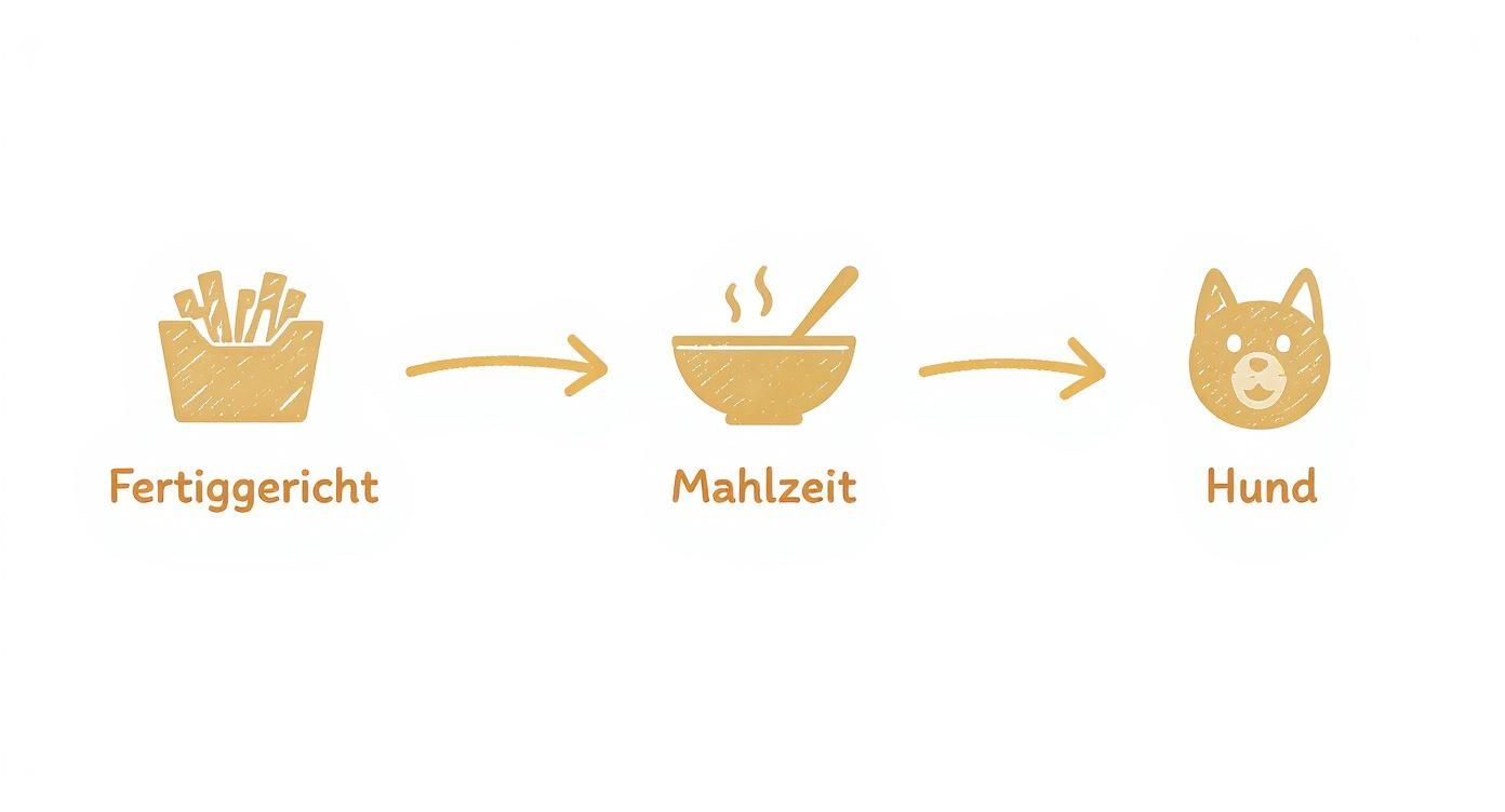 Infographic about natürliches hundefutter ohne zusatzstoffe