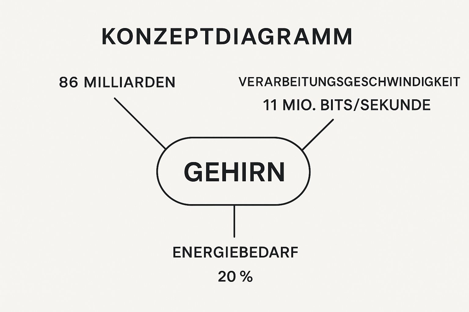 Infographic showing key data about Gehirn (Brain)