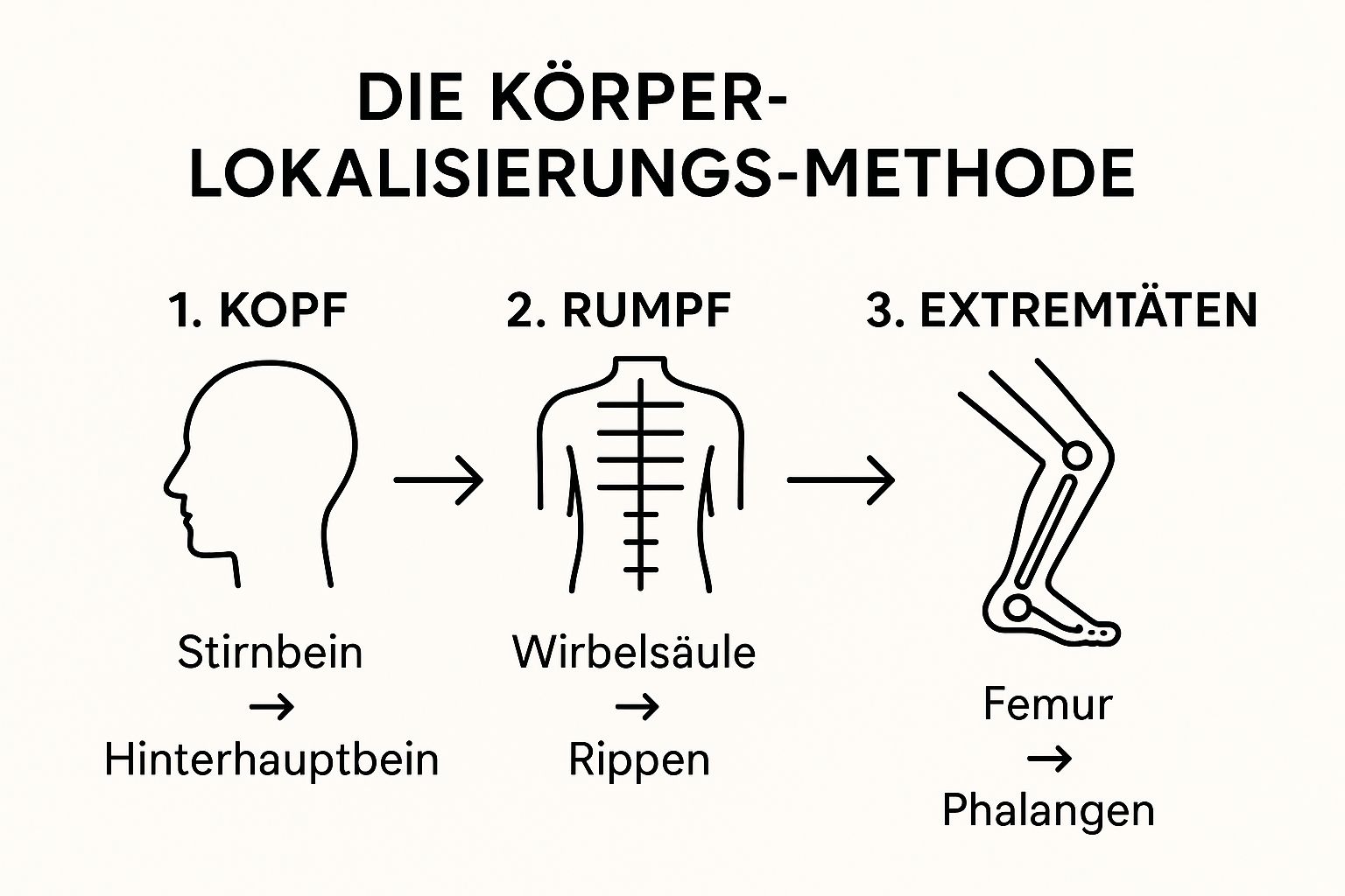 Die Körper-Lokalisierungs-Methode in drei Schritten: Kopf, Rumpf und Extremitäten.