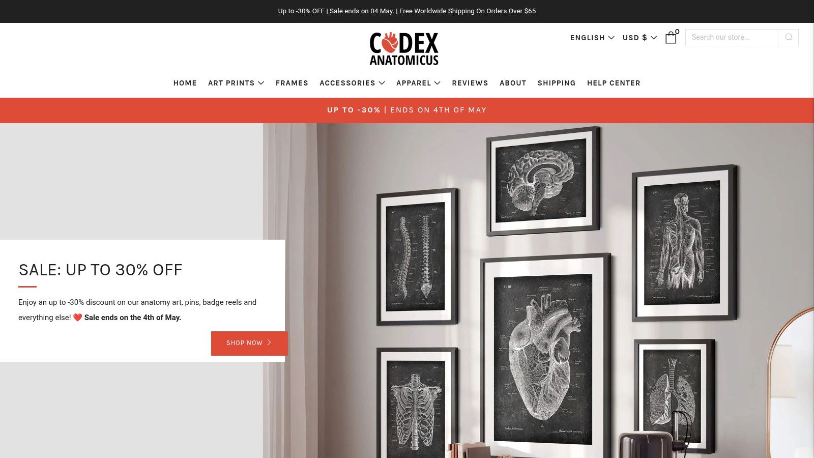Vintage Anatomy Poster Set by CODEX Anatomicus