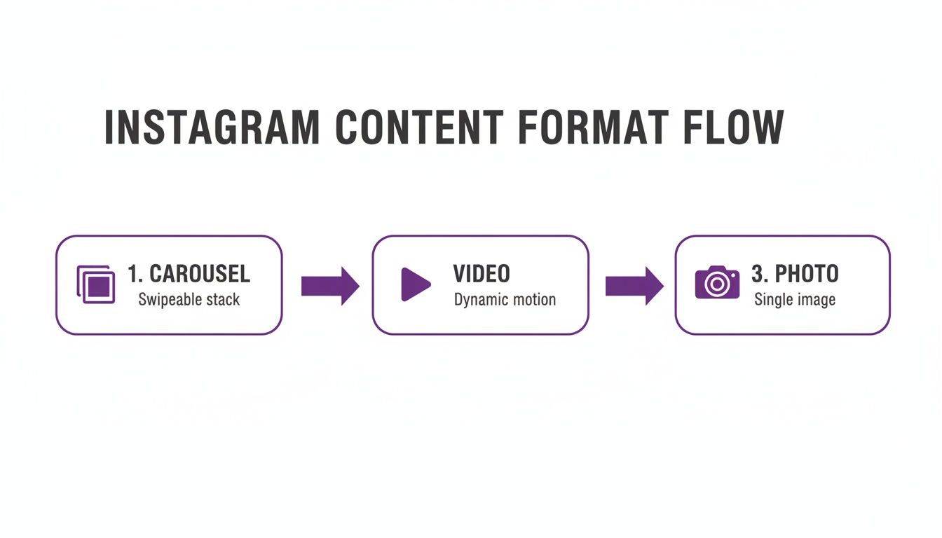 Flowchart showing Instagram content format progression: Carousel (swipeable), Video (dynamic), and Photo (single image).