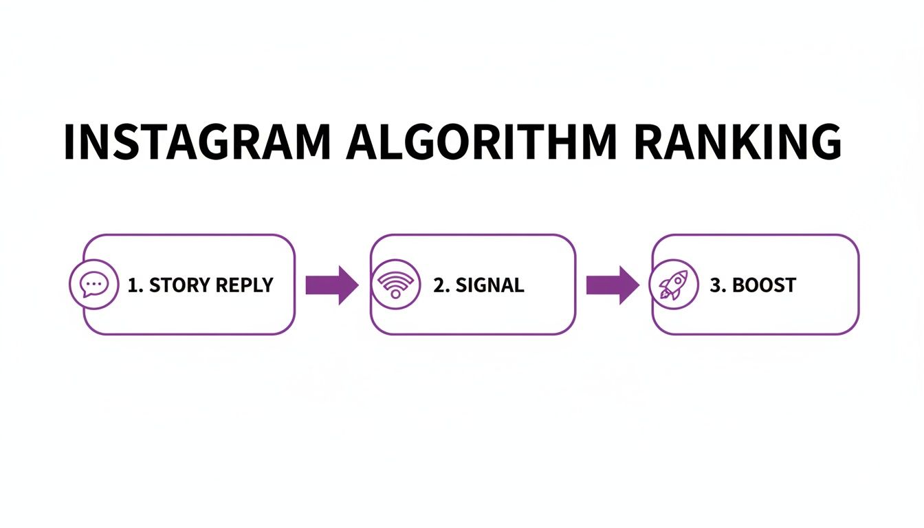 A diagram illustrating Instagram's algorithm ranking process: story reply, signal, and boost.