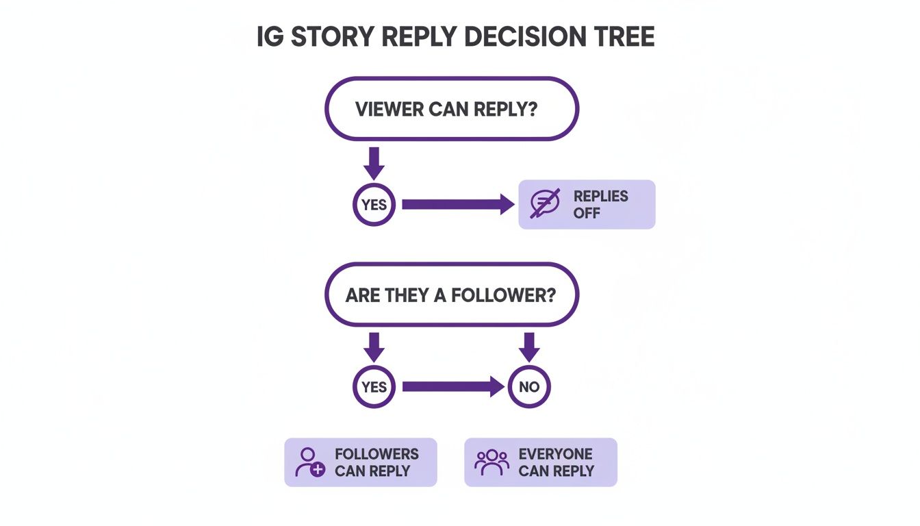 A decision tree flow chart explaining Instagram story reply settings, including options for replies off, followers, or everyone.