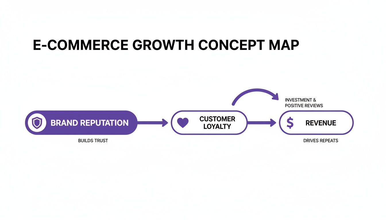 E-commerce growth concept map illustrating brand reputation leading to customer loyalty and increased revenue through investment and positive reviews.
