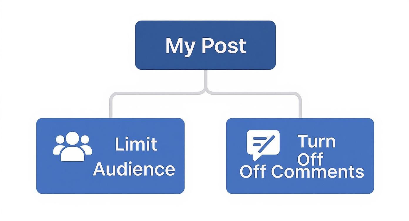 Diagram showing 'My Post' options: 'Limit Audience' with people icon and 'Turn Off Comments' with a crossed-out speech bubble.