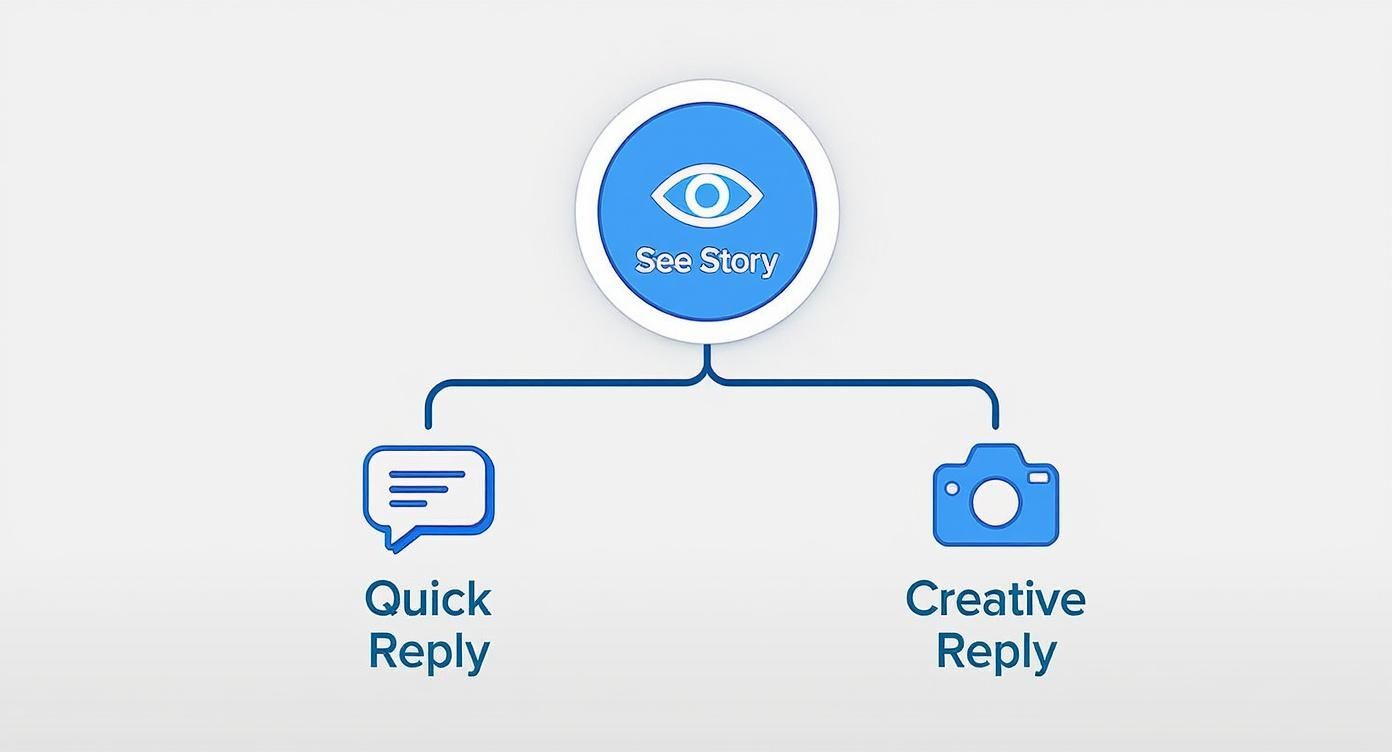 Infographic about commenting on instagram stories
