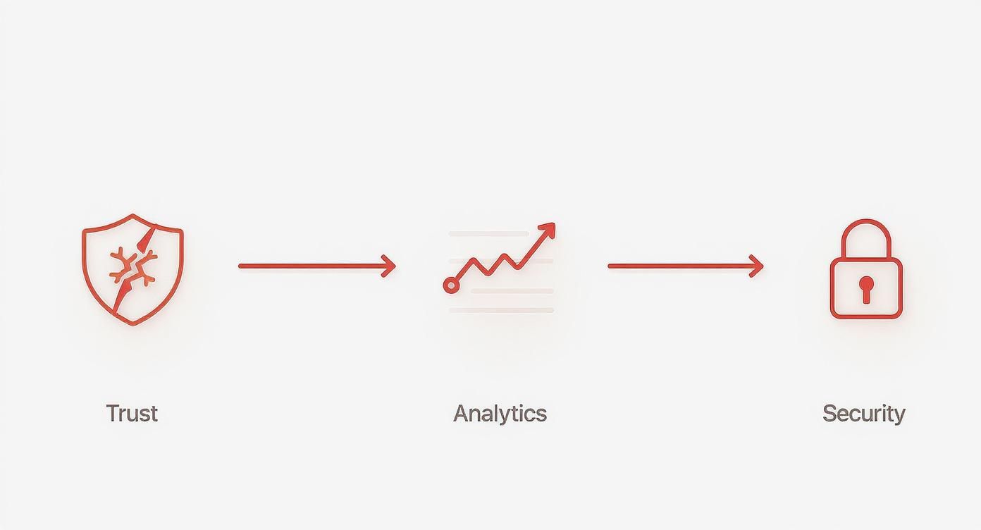 Infographic about spam on instagram