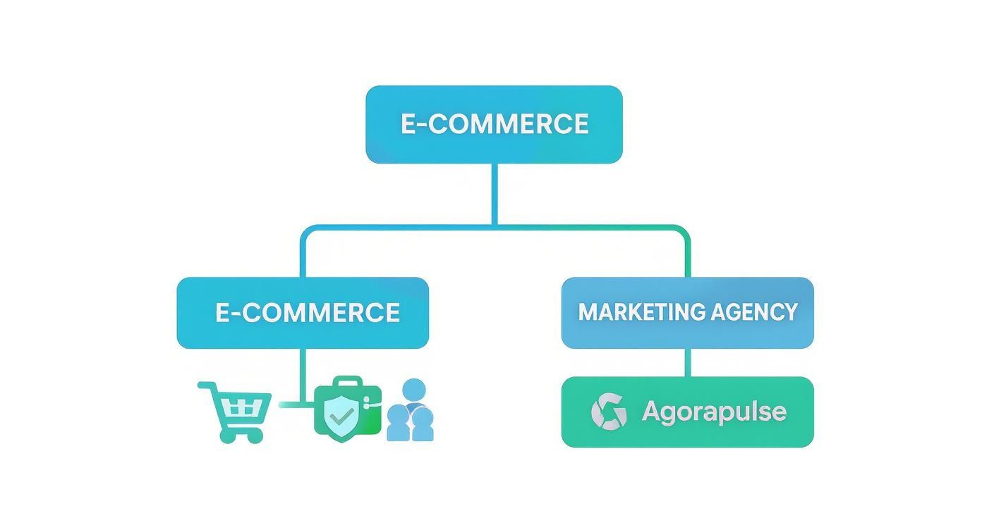 Hierarchical flowchart showing e-commerce structure with marketing agency and Agorapulse integration for business management