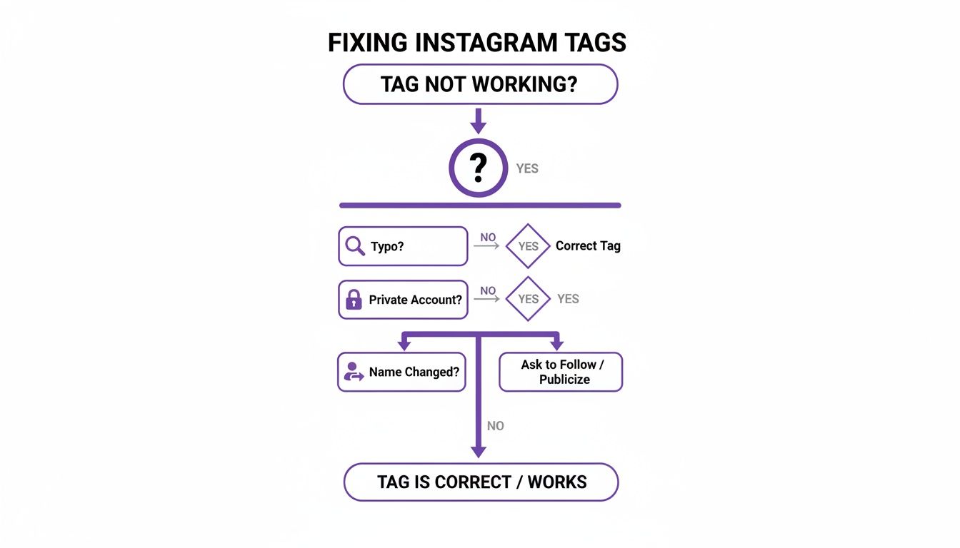 Flowchart detailing steps to fix Instagram tags, checking for typos, private accounts, or name changes.