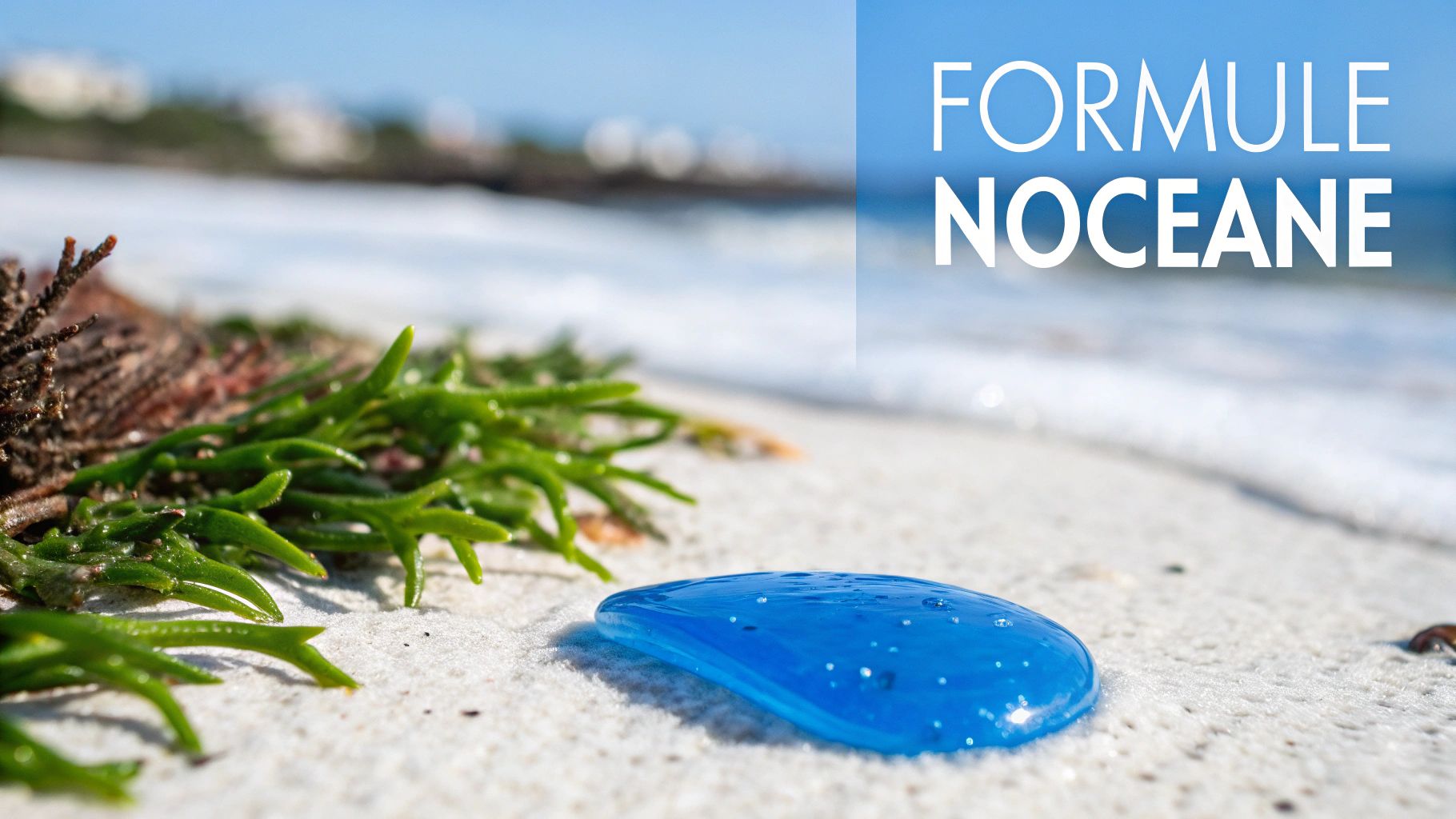 Patch bleu transparent sur sable blanc avec algues vertes, bord de mer et texte "FORMULE NOCEANE".