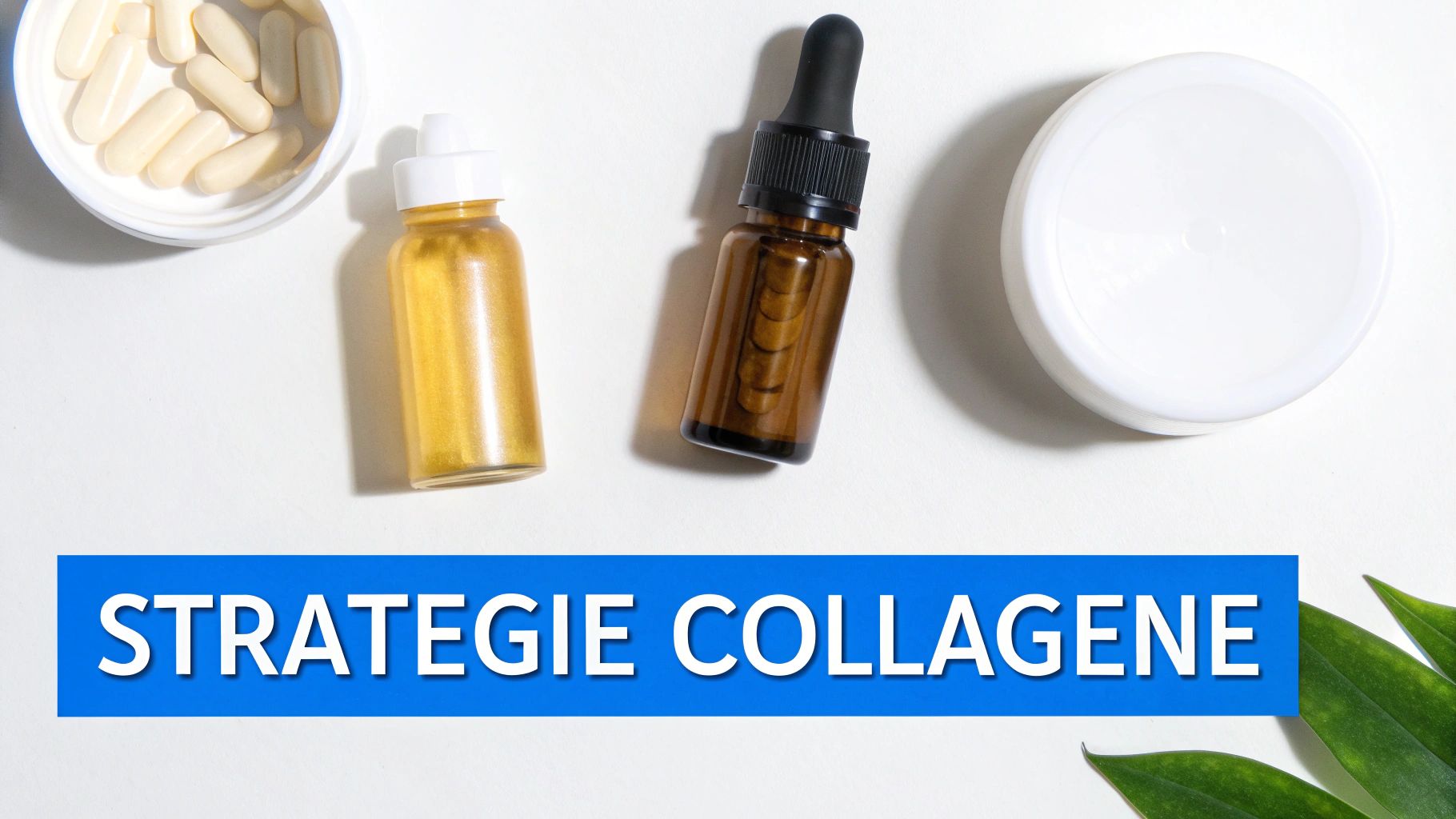 Produits de soins et compléments au collagène: capsules, sérums en flacons et pot blanc, avec des feuilles vertes. Bannière : 'STRATEGIE COLLAGENE'.