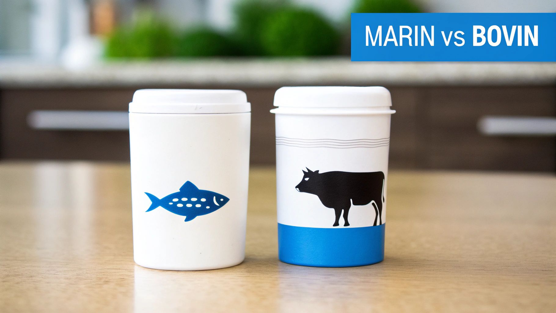 Deux contenants blancs illustrant la différence entre le collagène marin (poisson bleu) et bovin (vache noire).