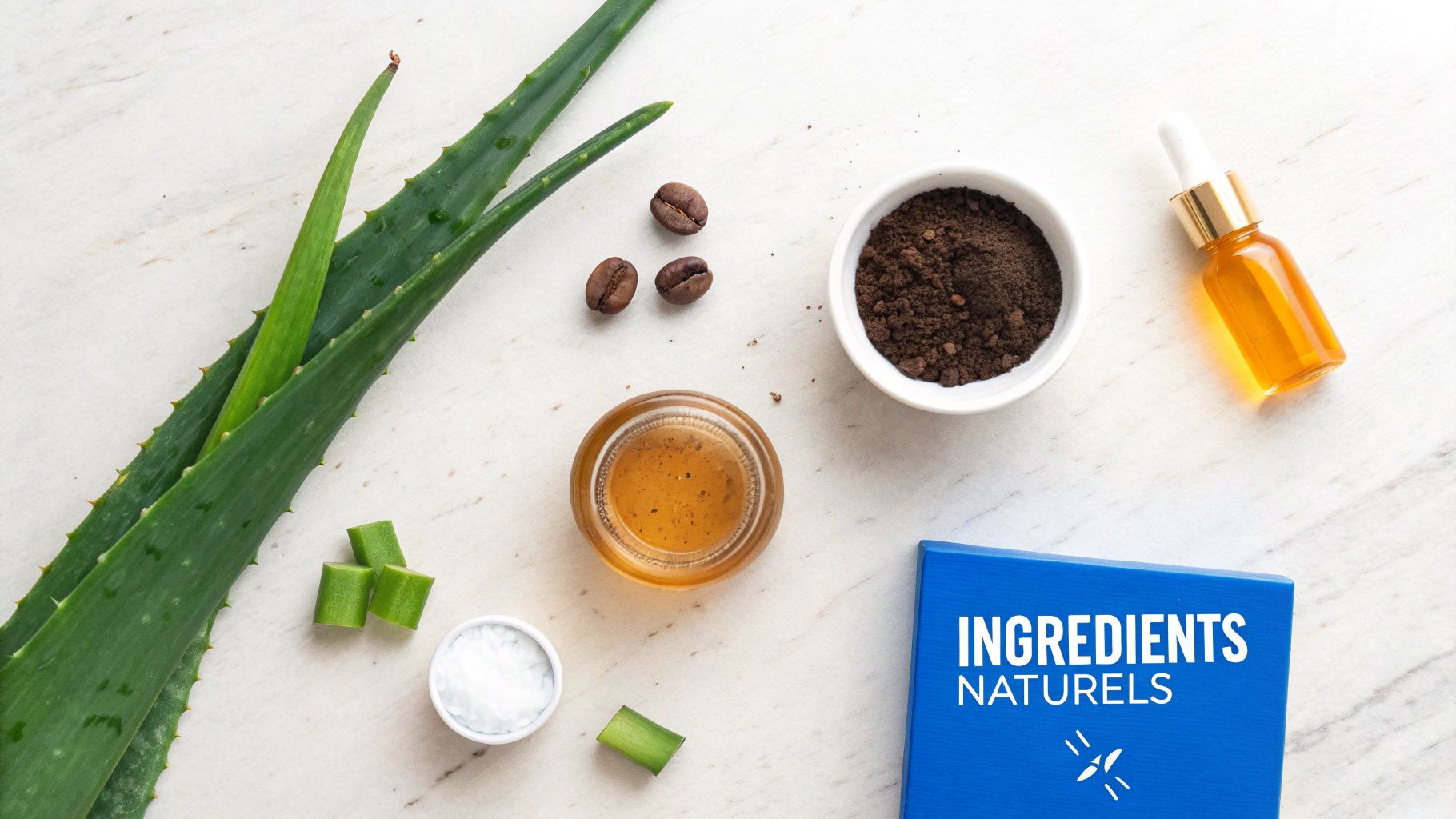 Ingrédients naturels pour soins de la peau : feuilles d'aloe vera, grains de café, miel et huile.