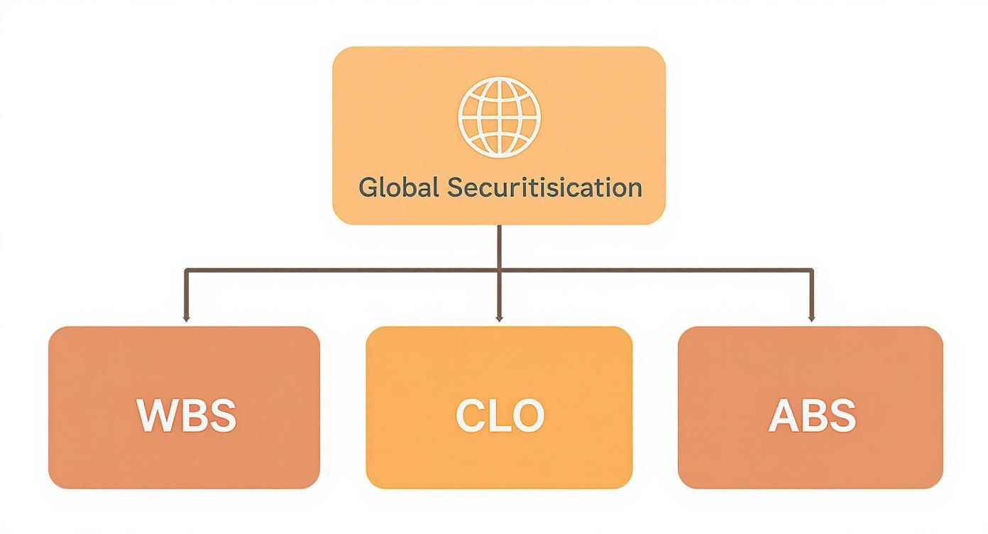 Diagram showing Global Securitisation branching into Whole Business Securitisation (WBS), Collateralized Loan Obligations (CLO), and Asset-Backed Securities (ABS) components.