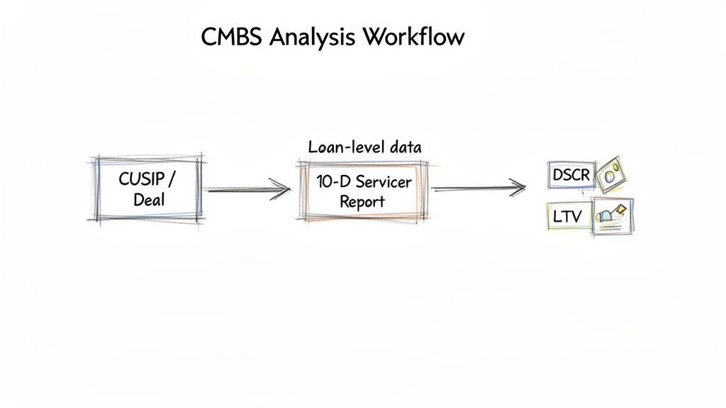 A CMBS analysis workflow diagram illustrating steps from CUSIP/Deal to loan-level data, DSCR, and LTV.