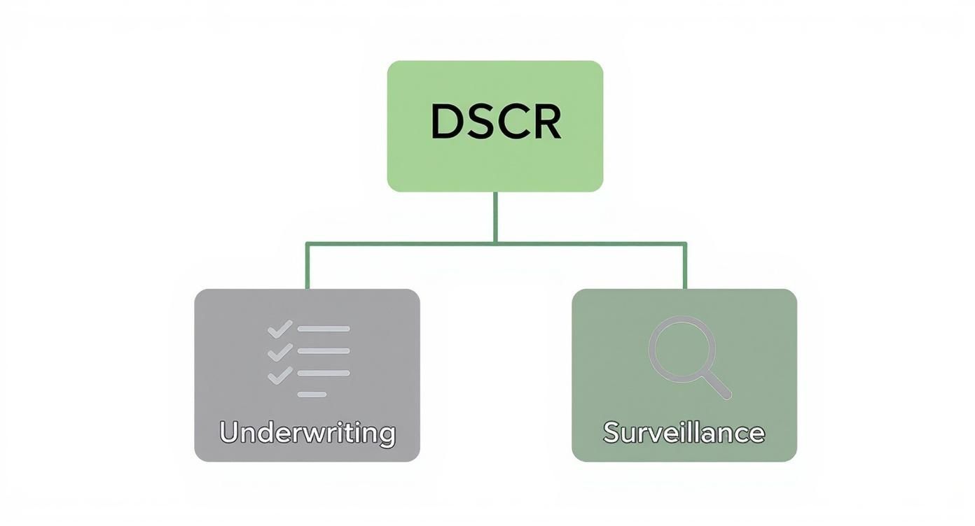 Flowchart illustrating DSCR, branching into Underwriting and Surveillance processes, with relevant icons.