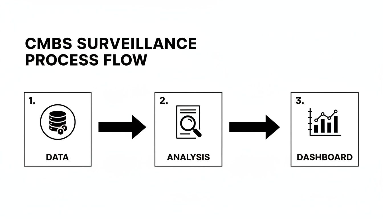CMBS surveillance process flow showing data collection, analysis, and dashboard visualization.