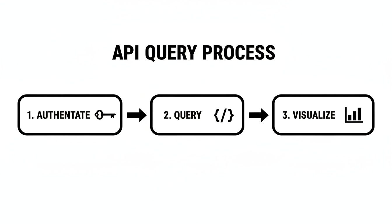 A diagram illustrating the API query process: Authenticate, Query data, and Visualize results.