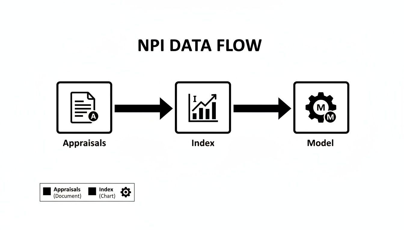 NPI data flow diagram illustrating the process from appraisals to index creation and final model.