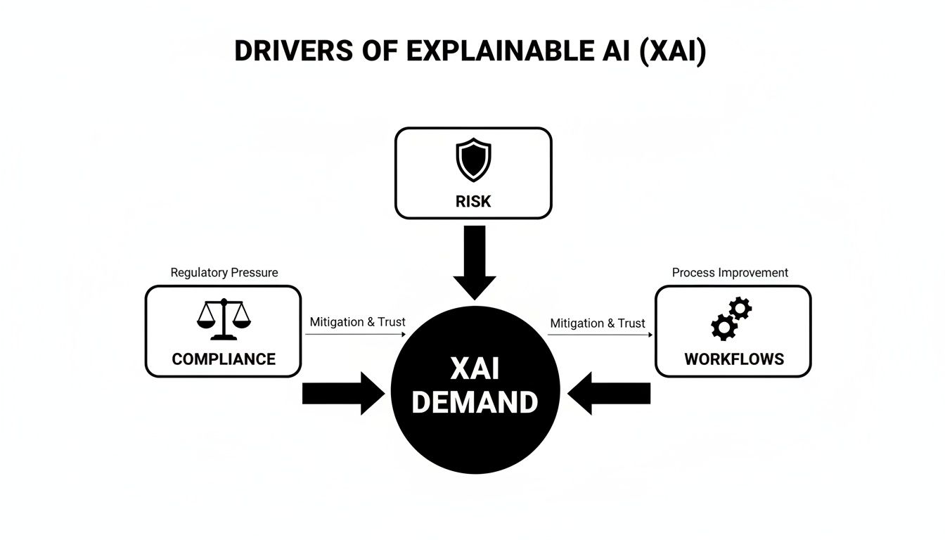 Diagram illustrating the key drivers of Explainable AI (XAI) demand: compliance, risk, and workflows.