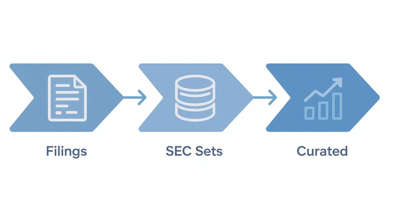 Infographic showing the process flow for sourcing BDC data from filings to curated datasets.