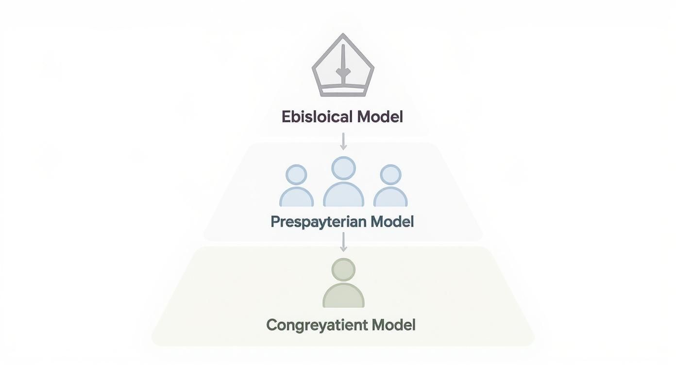 A hierarchical diagram illustrating Ebisloical, Prespayterian, and Congreyatient church governance models with icons.