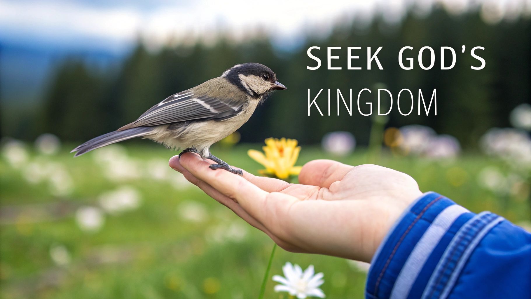 Matthew 6:25-34 - Seek First the Kingdom of God