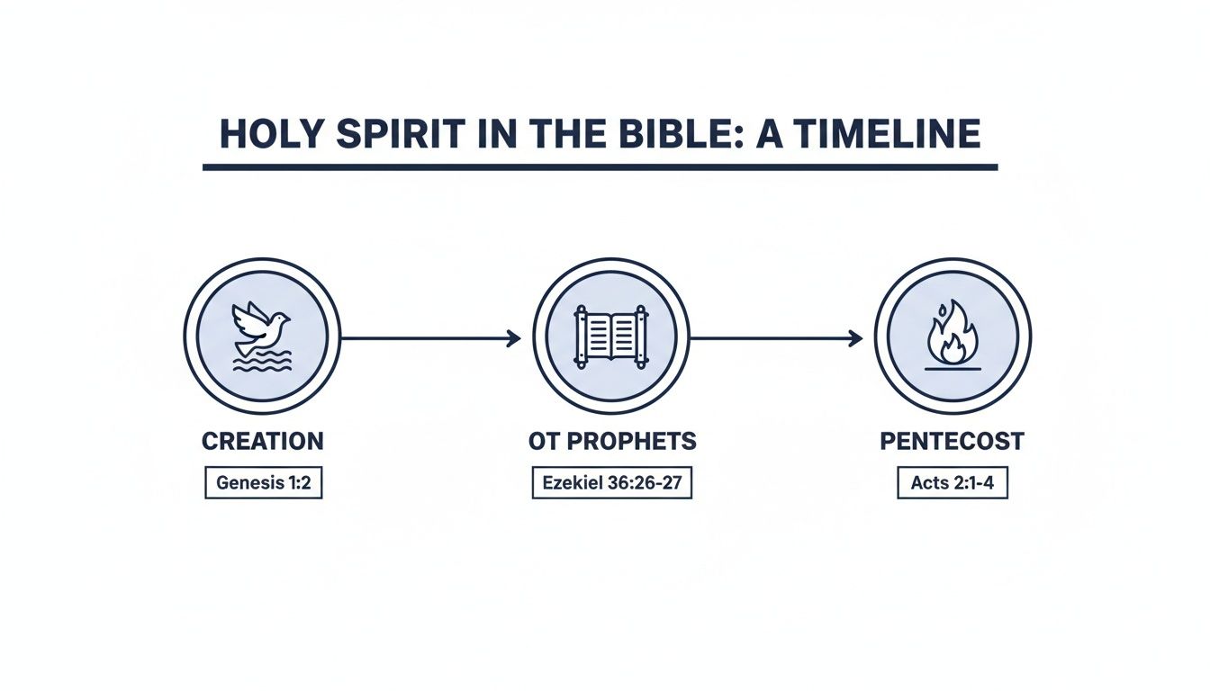 Timeline illustrating the Holy Spirit's activity in the Bible from creation to Pentecost.