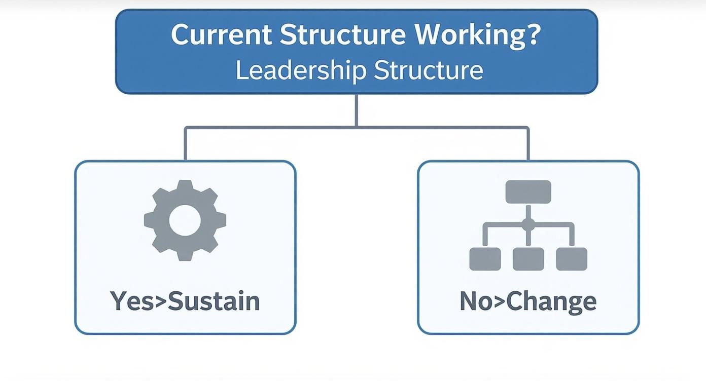 A flowchart asking if the current leadership structure is working. Yes means sustain, No means change.