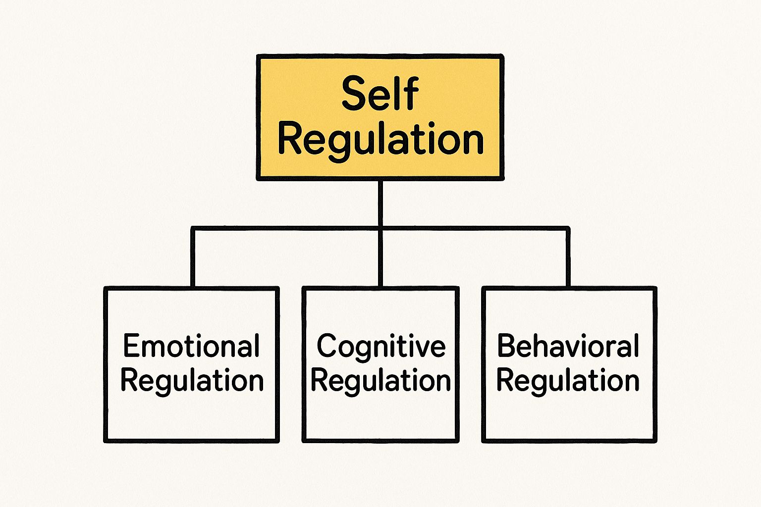 Infographic about what is self regulation