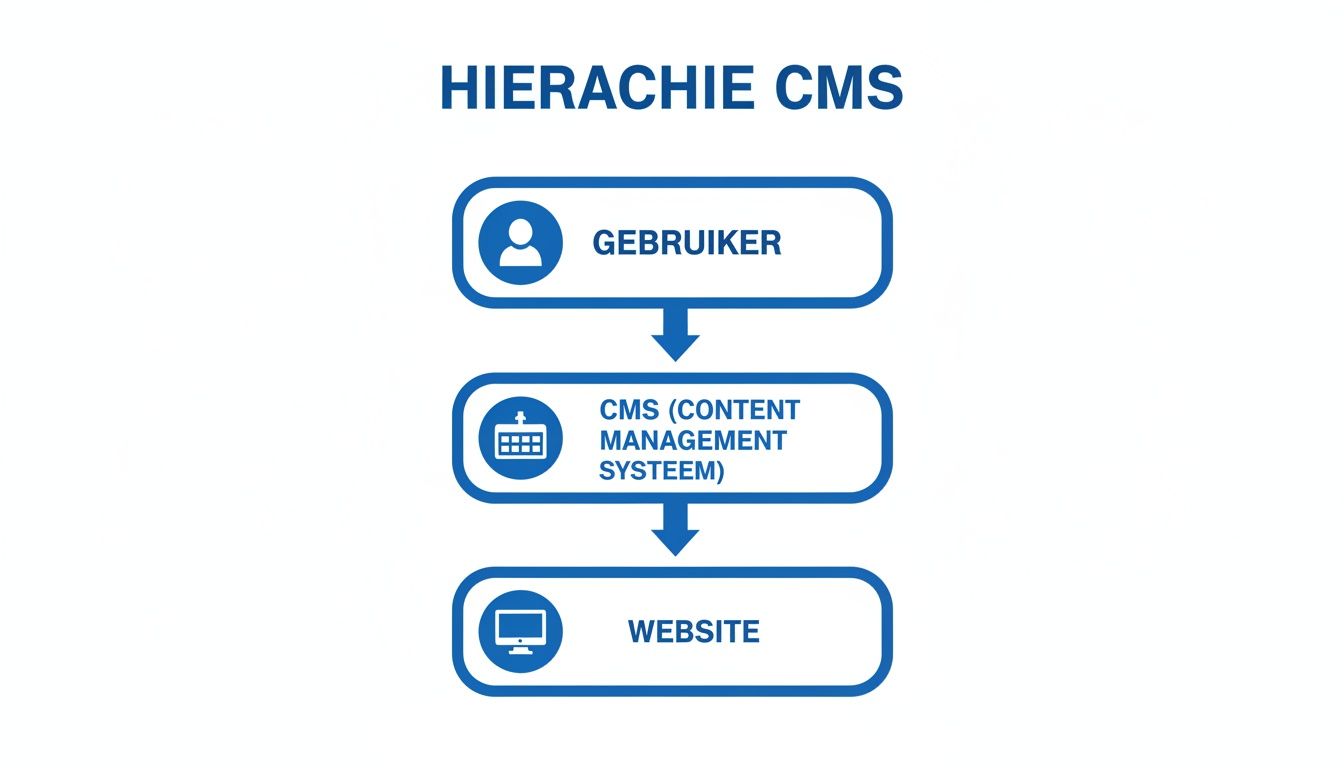 Diagram toont de hiërarchie van een CMS: Gebruiker communiceert met CMS, dat vervolgens de website beheert.