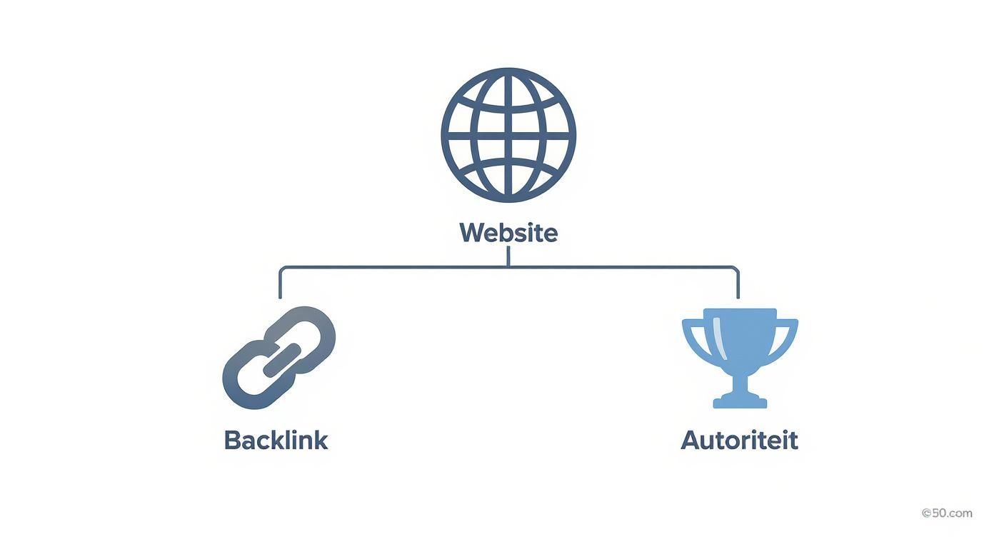 Schema dat de relatie tussen een website, backlinks en autoriteit in SEO toont.