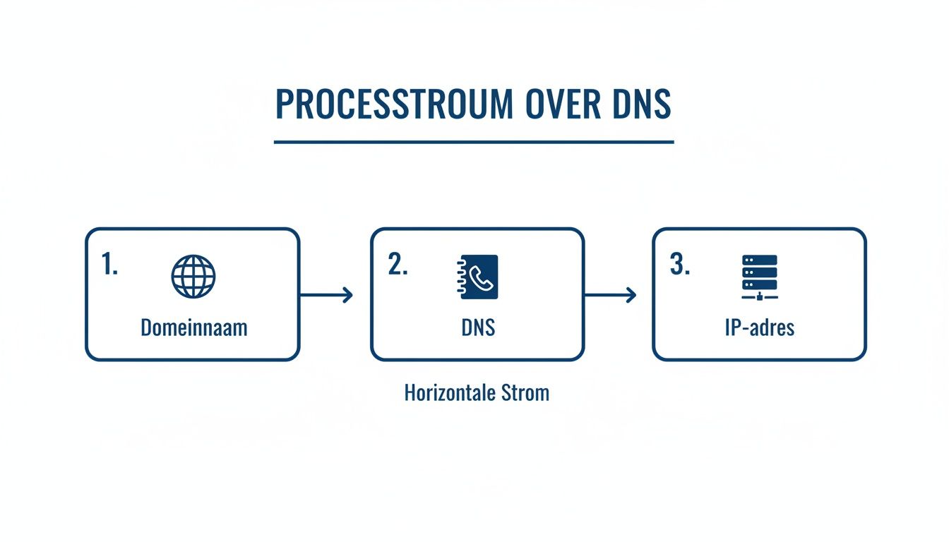 Schematische weergave van de processtroom over DNS, beginnend bij domeinnaam en eindigend bij IP-adres.